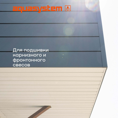 Софит металлический с центральной перфорацией Aquasystem, 303х2400 мм, 0,45 мм, St PE Zn140, RR 20