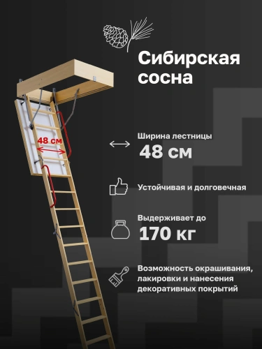 Чердачная лестница Docke PREMIUM TERMO LONG 70х120х363